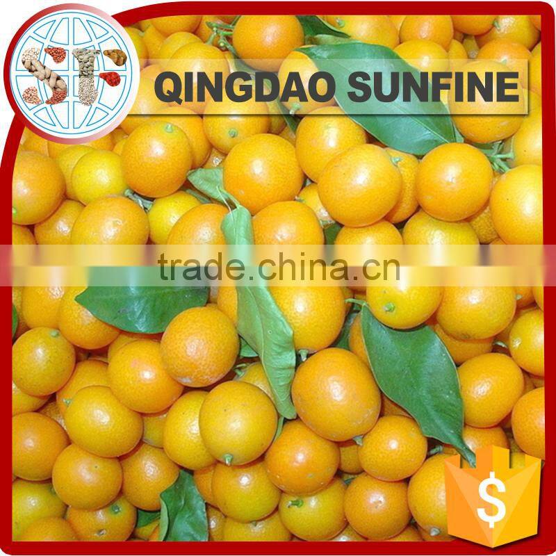 Air dried fresh sweet kumquat