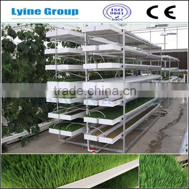 Large shallow tray for sale plastic plant seed tray