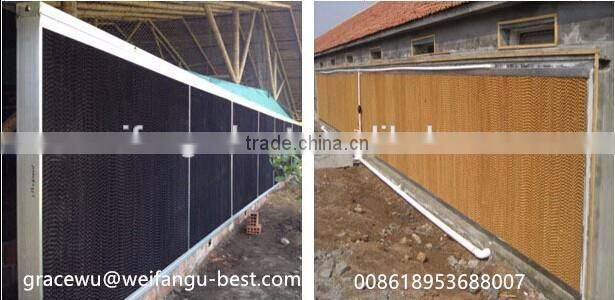 automatic feeding pan system for poultry farm equipment