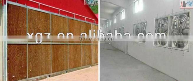 Steel frame and sandwich board chicken poultry shed design