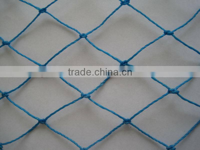 knitted Anti bird netting for fruit tree