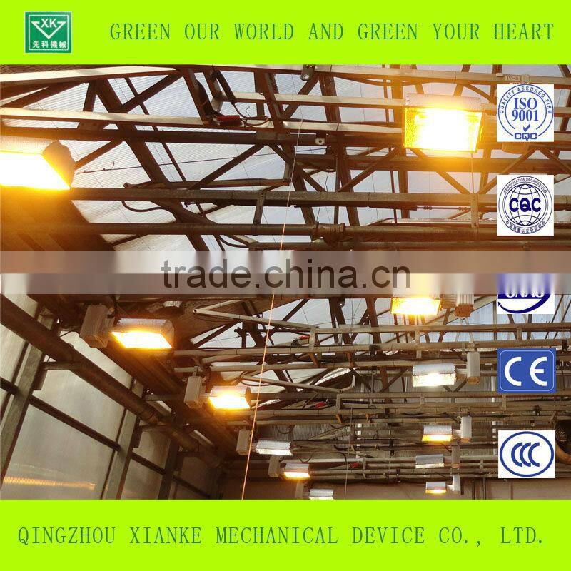 Multi-Span Seeding Greenhouse in Winter