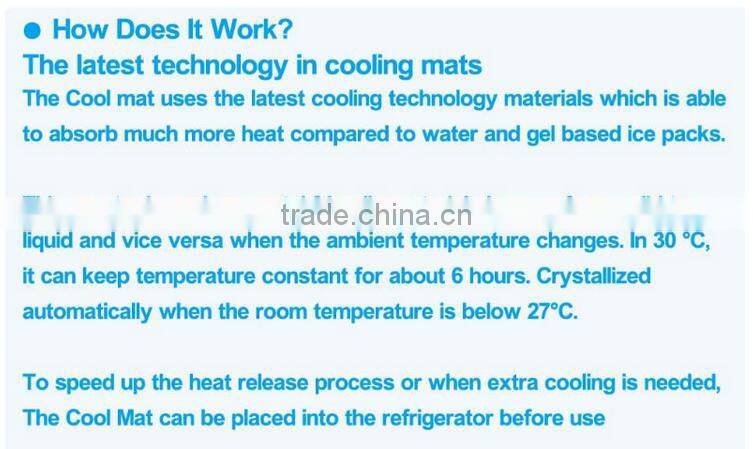 newest and eco-friendly ice pad , ice cushion for computer for pet