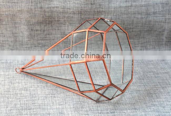 Indoor plant glass terrarium micro landscape glass greenhouse