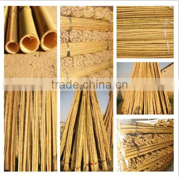 Bamboo Product of Construction Material