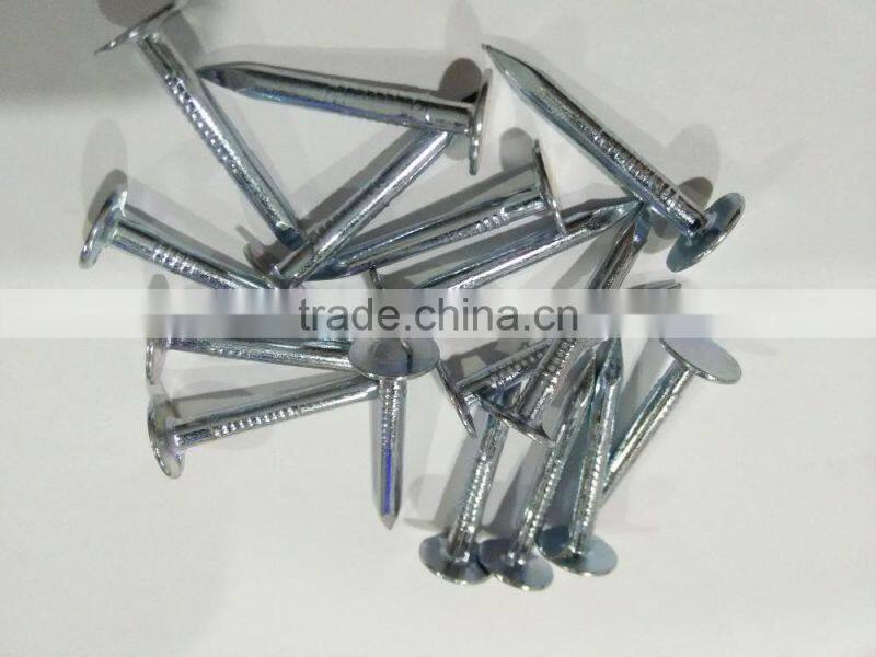 factory price big flat head roofing nails coil roofing nails galvanized clout nails