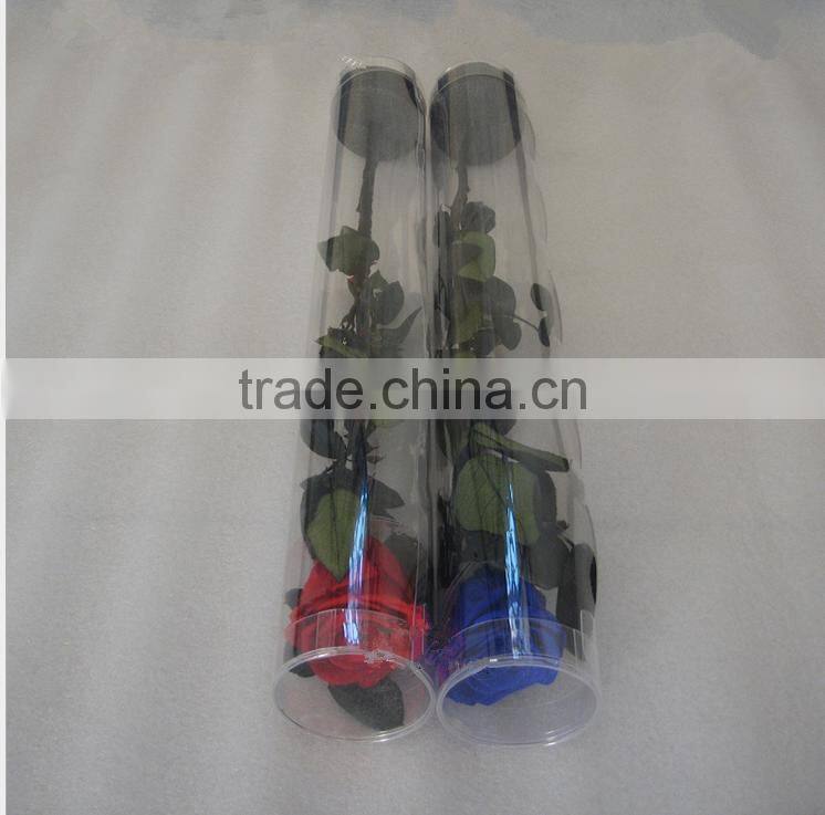 Colurful Real Natural Preserved Roses With Stem