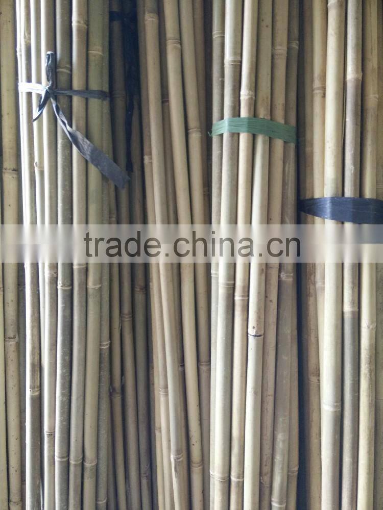 vineyard pole,raw bamboo poles wholesale