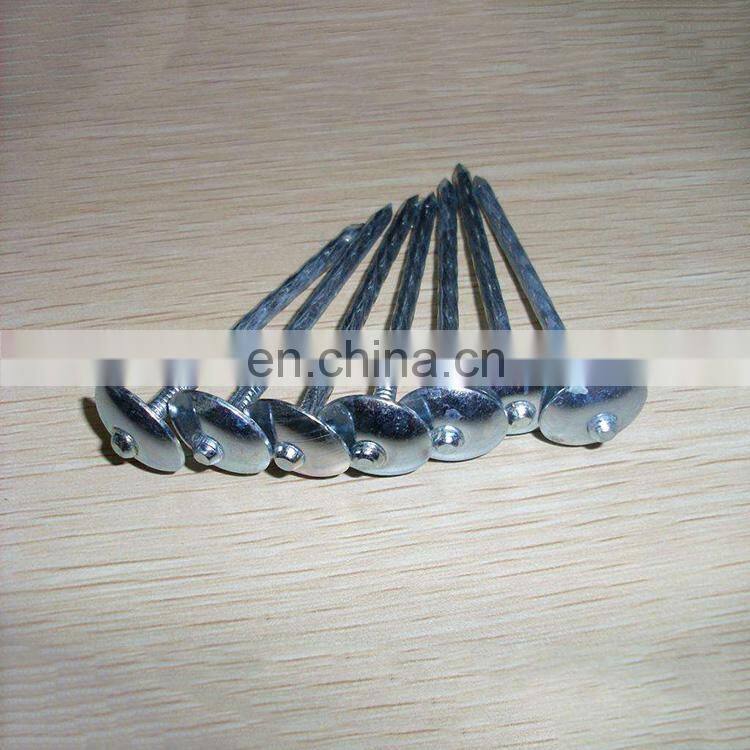 China products good quality galvanized steel corrugated nail