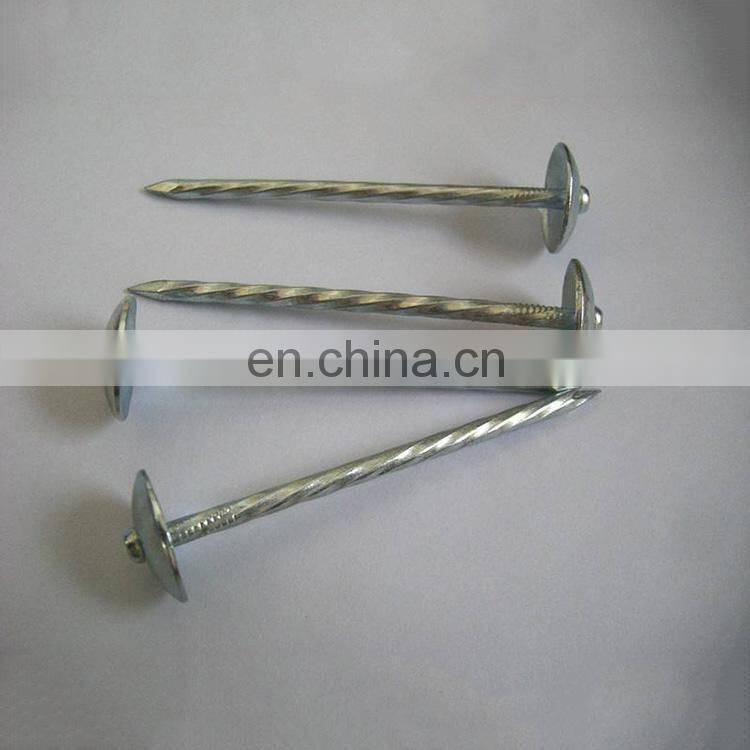 China products good quality galvanized steel corrugated nail