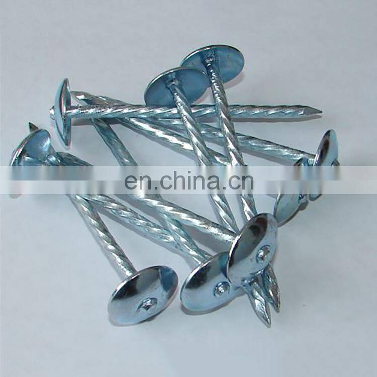 China products good quality galvanized steel corrugated nail