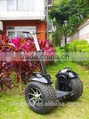 2000W Big wheel self-electric chariot