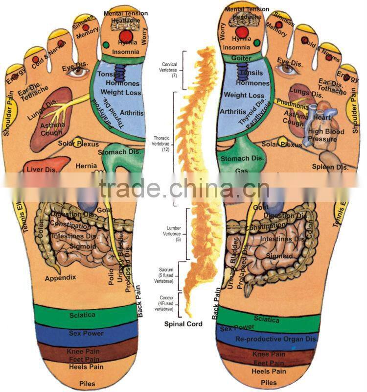 Natural Pebbles Massage Slipper Lady Health Foot Acupressure Shoes for Women Foot Reflexology Therapy