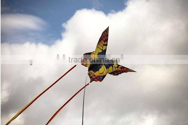 beautiful butterfly kite