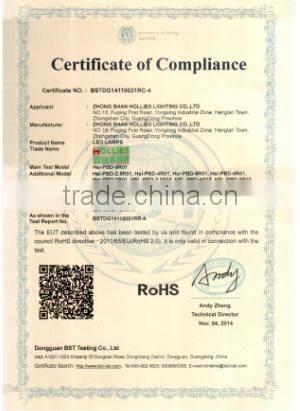 2015&2016 GLASS BALL LED CEILING LIGHT CHANDELIER FIXTURE LAMP