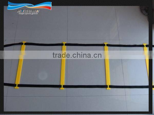 Speed agility ladder