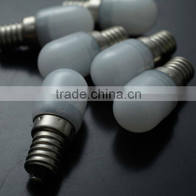 Decorative Lamps/ Fairy Bulb