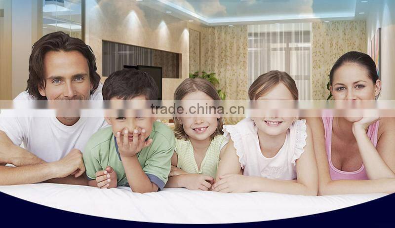 Wholesales price SMD 5050 rigid led strip IP65 Waterproof 60Led/m DC 12V with CE ROHS