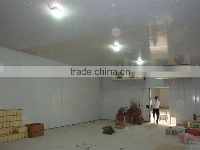 Low Temperature Cold Storage