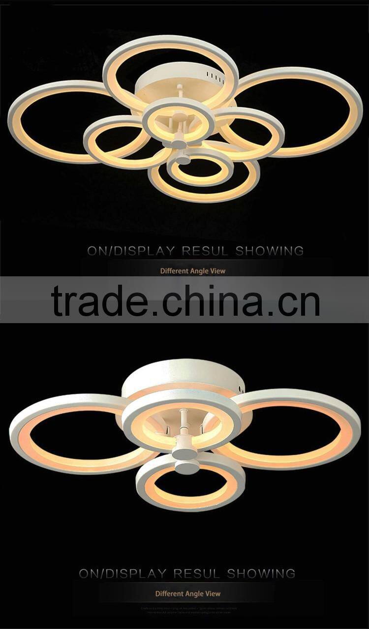 Hot Selling 100W Modern Ceiling Lights Stainless Steel 220V Simple Ceiling Lamps