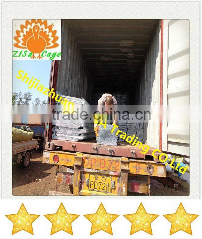 china zisa factory mainly produce Poultry chicken layer cage farm equipments cheap price