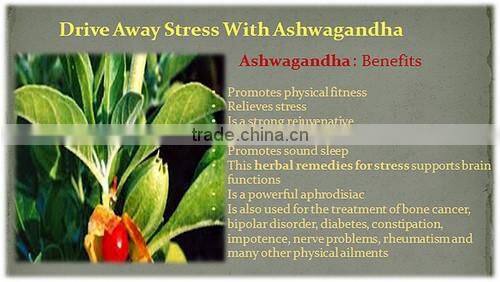High Quality Ashwagandha Capsules Bulk Exp[orters