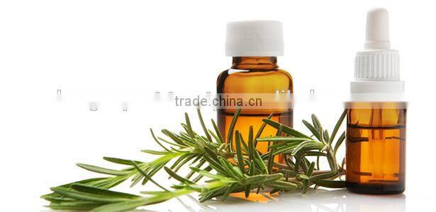 100%Pure Natural Rosemary Oil For Export Only