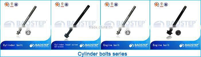 high tensile hot galvanizing thru bolt