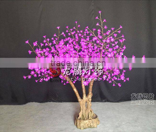 cherry blossom bonsai tree