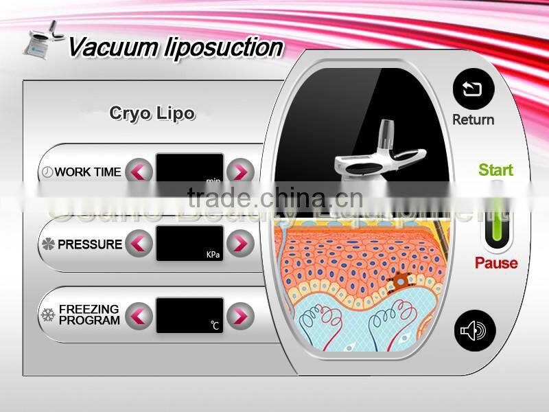 New coming Lipo Ice fat cryolypolysis machine 3d lipo salon