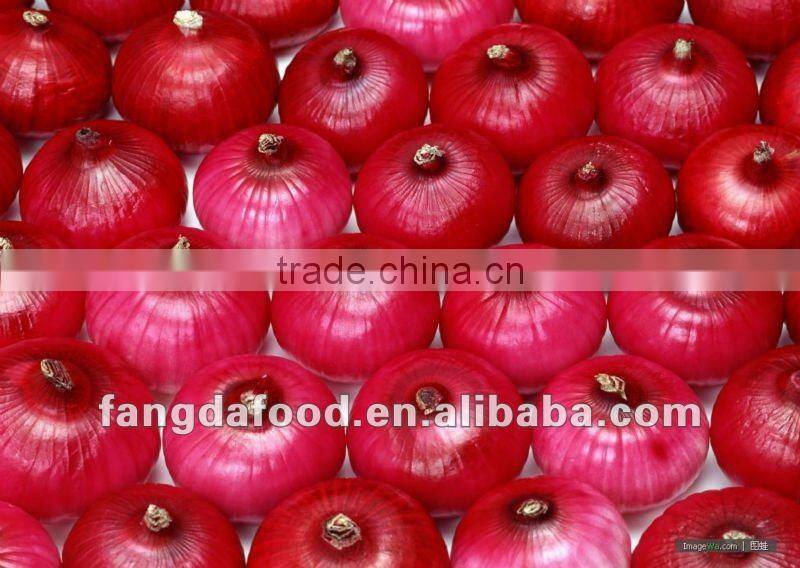 Fresh Yellow Onoion from china