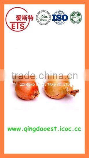 BUlk 2016 new crop Fresh yellow onion