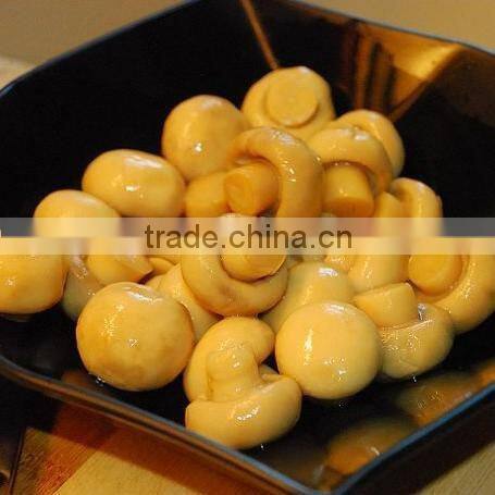 salted champignon mushroom in 50kg drum