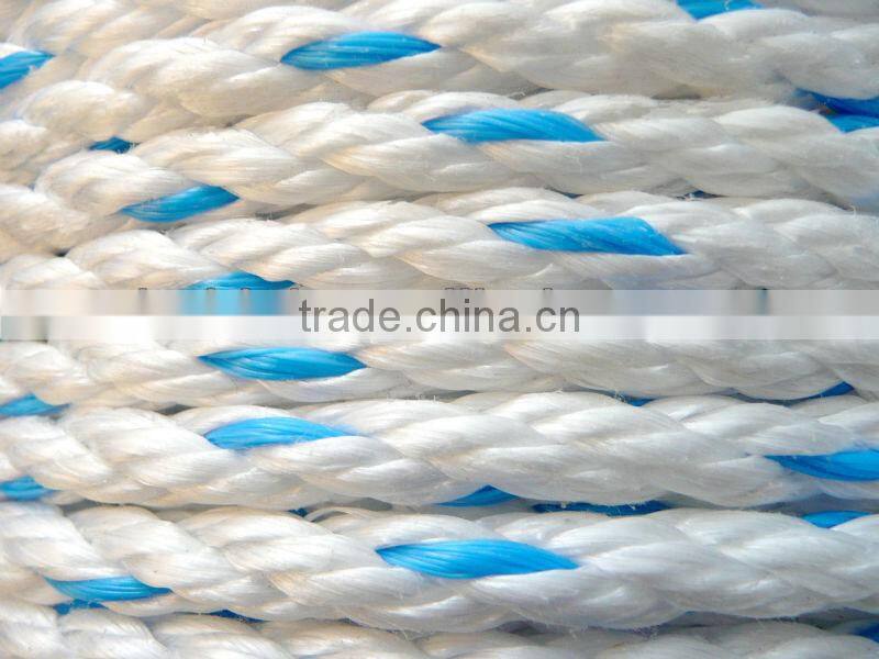 high quality Danline Rope competitive price