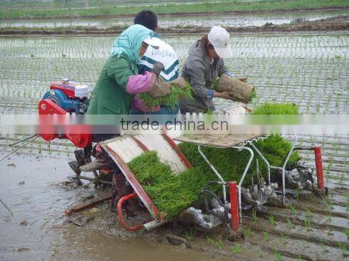 riding 6 rows rice transplanter