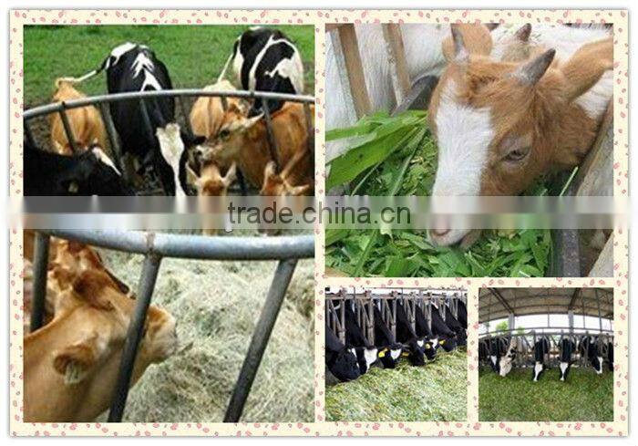 hot sale motor drive ensiling chaff cutter