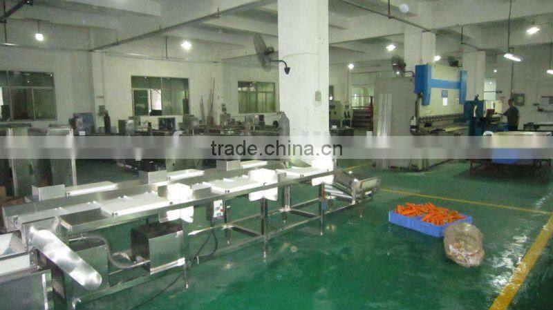 Vegetable cutting washing production line (video)