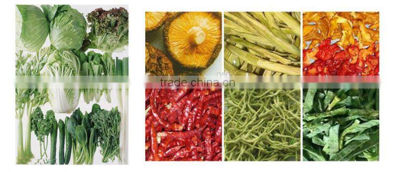Vegetables and fruits dehydrator chilli drying line