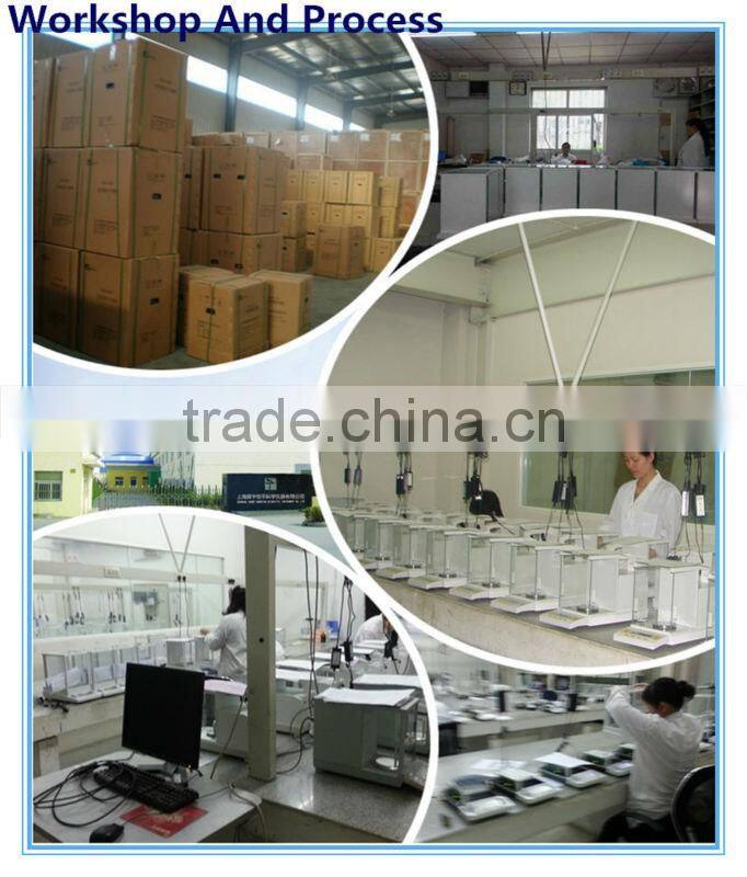 120g/0.1mg Digital Precision Balance