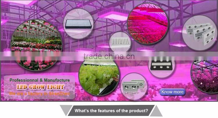 High power quality hydroponics LED Grow Lighting COB indoor growing light