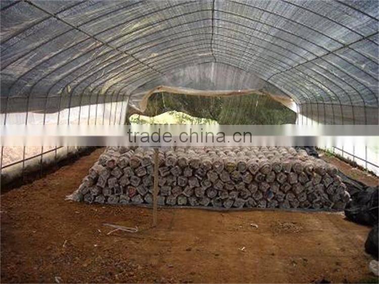 Hot sale new tunnel greenhouse for mushroom growing