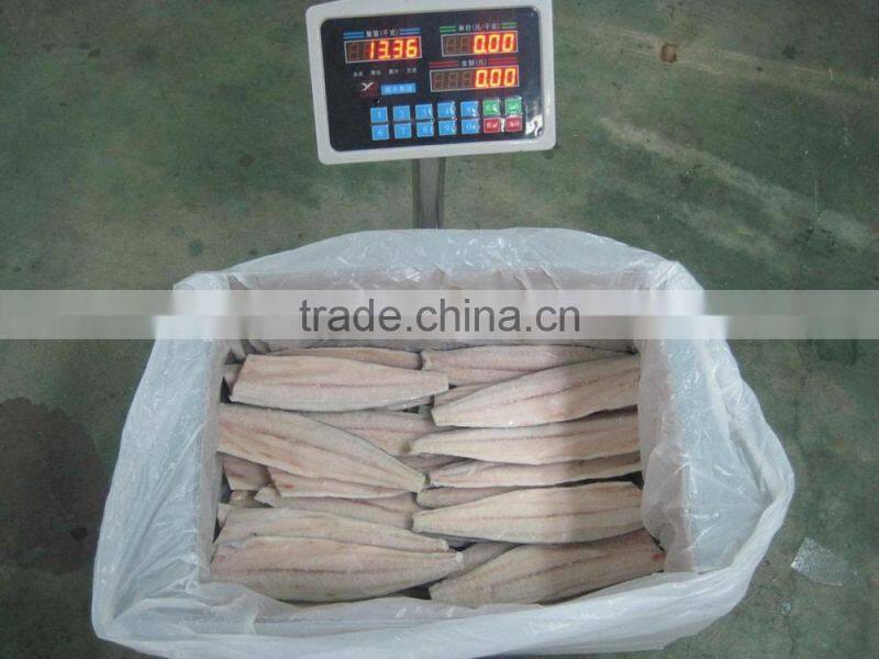 A grade quality frozen spanish mackerel fillets