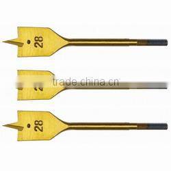 Multi-Angle Drill Bit