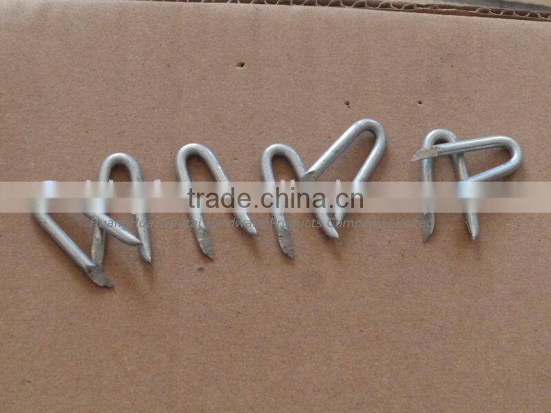 U-type nails china supplier on hot sale