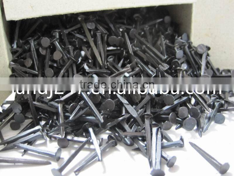 Shoe Tack Nails with Factory Price