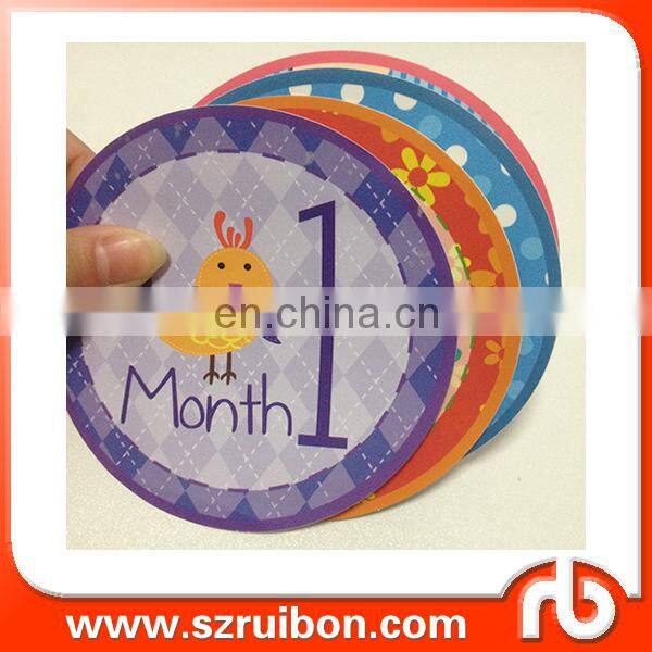 Monthly Baby Milestone Stickers Baby Girl Baby Shower Gift