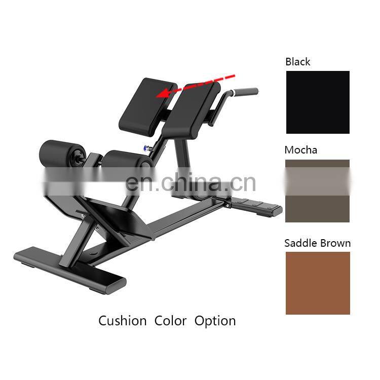 Dhz Fitness Commercial Use Back Extension Bench Machine