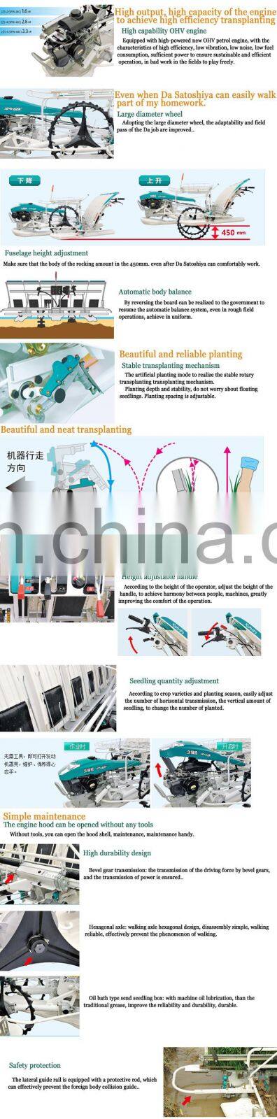 6 rows walking rice transplanter, china brand rice transplanter, china rice transplanter