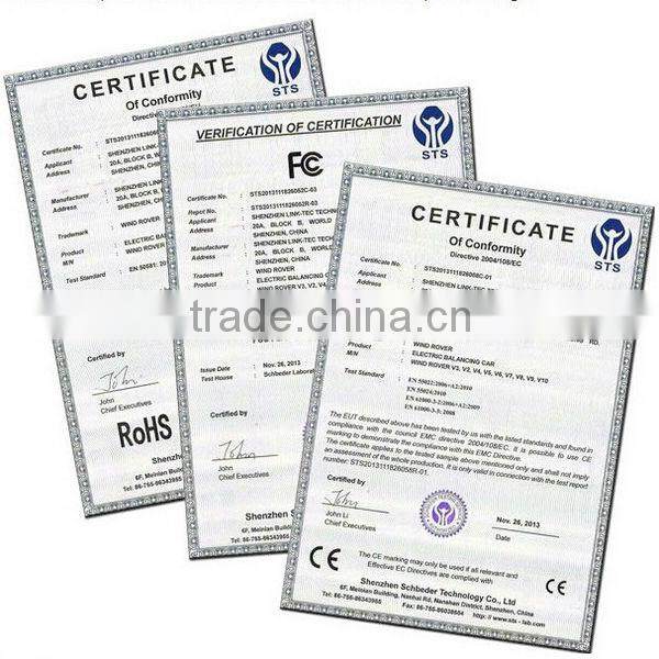 Double wheels outdoor scooter and adult electric personal transportation vehical