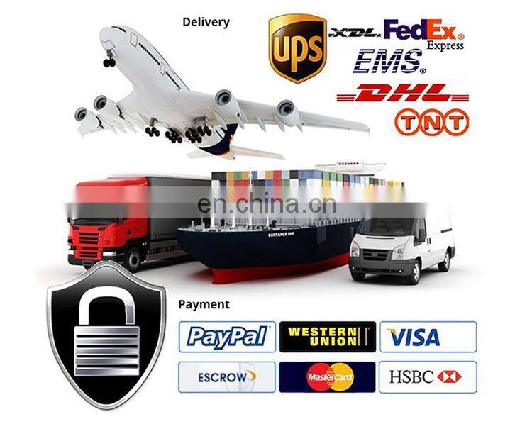 Professional large Outdoor playground equipment water slide